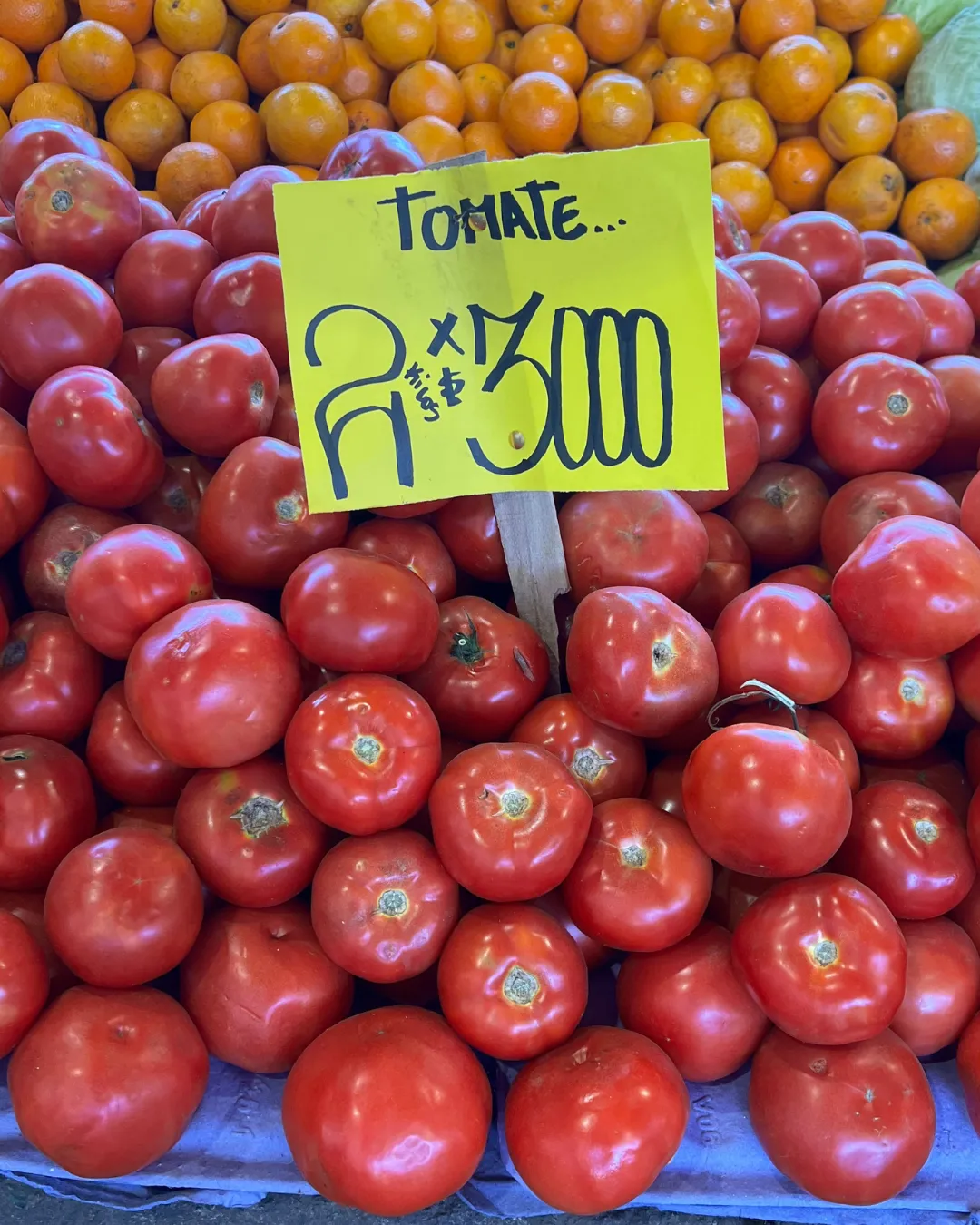 Agregar un título - 2025-10-02T162919.969