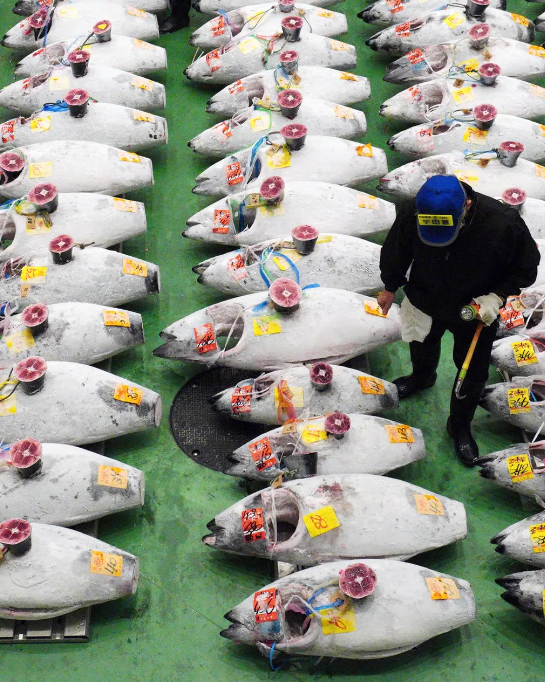 Agregar un título - 2025-12-10T104200.517