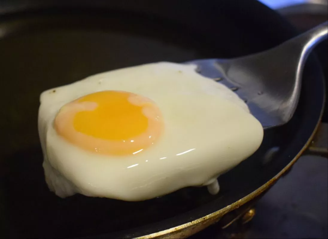 WhatsApp Image 2022-02-09 at 15.59.04