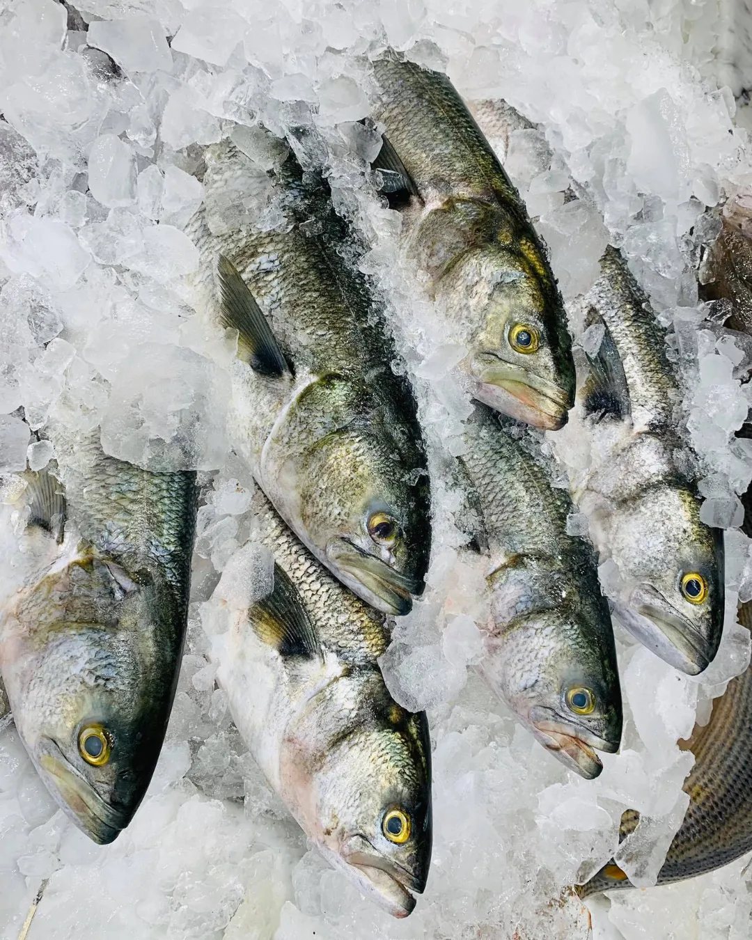 Agregar un título - 2025-06-26T175953.566