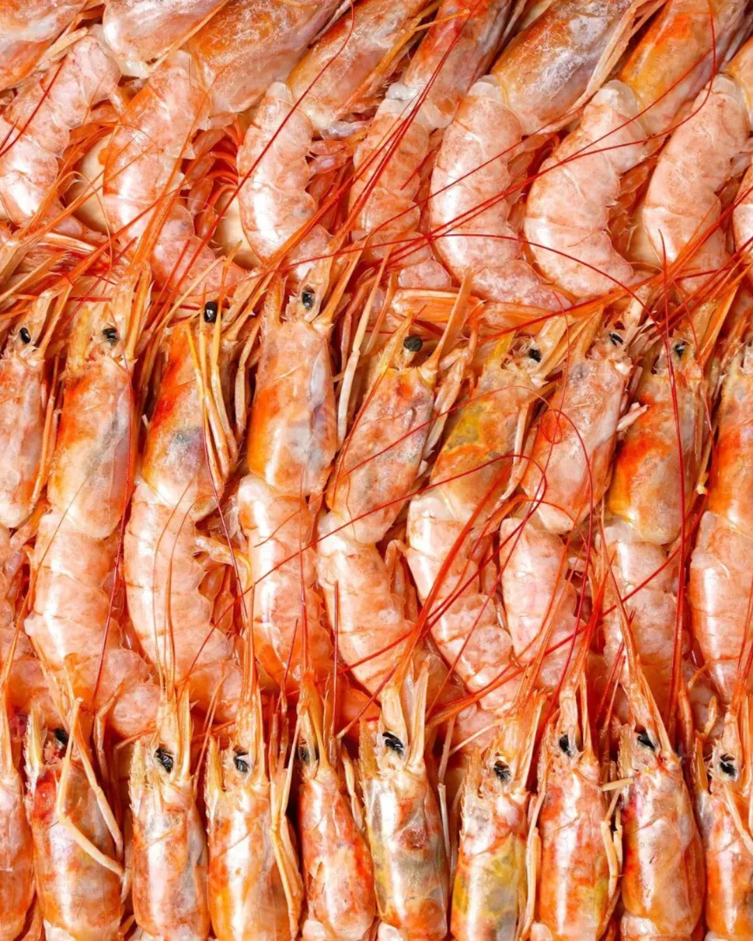 Agregar un título - 2025-06-26T174724.715