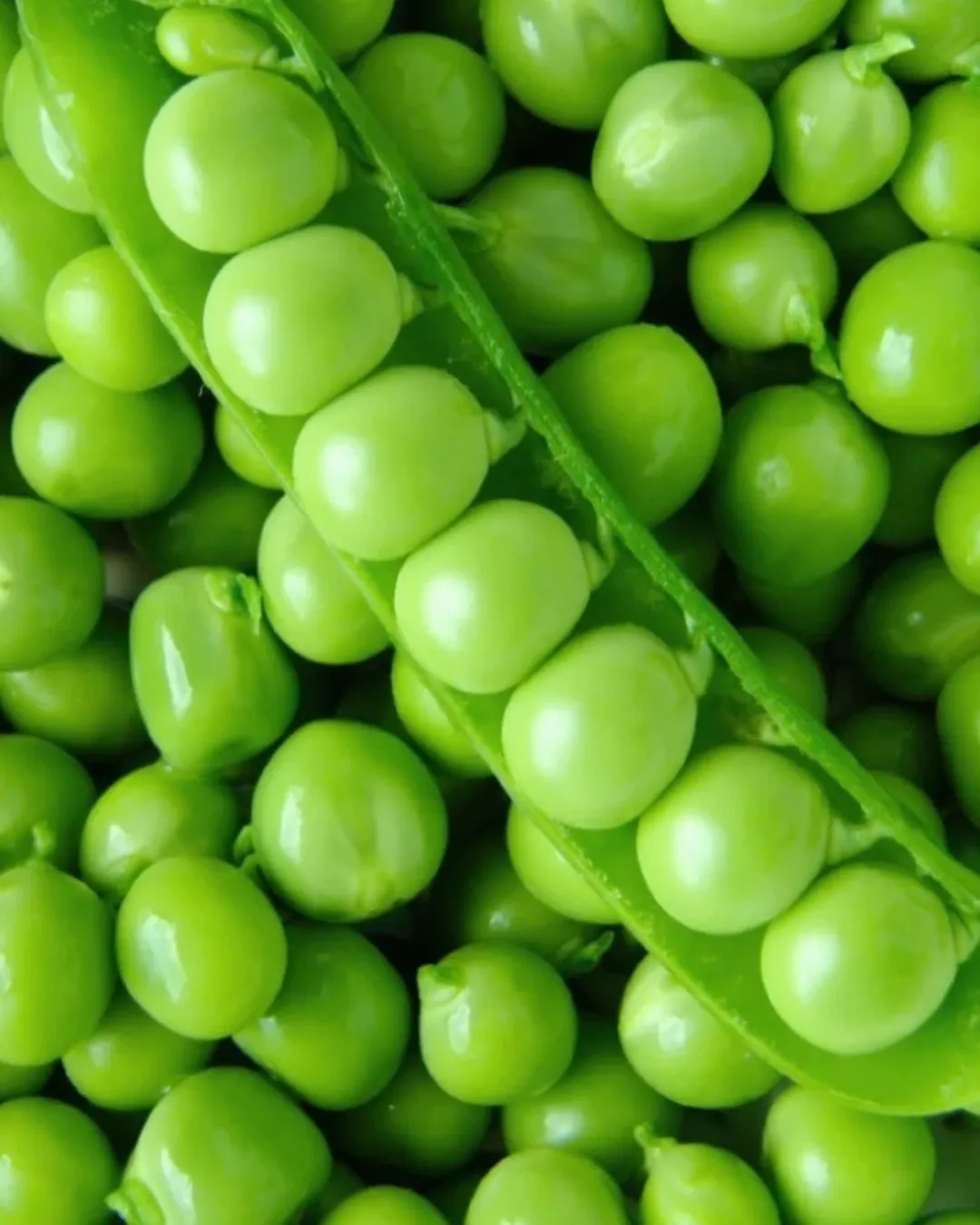 Agregar un título - 2025-06-27T103530.939