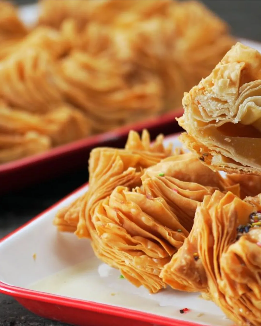 Agregar un título - 2024-08-23T125648.063