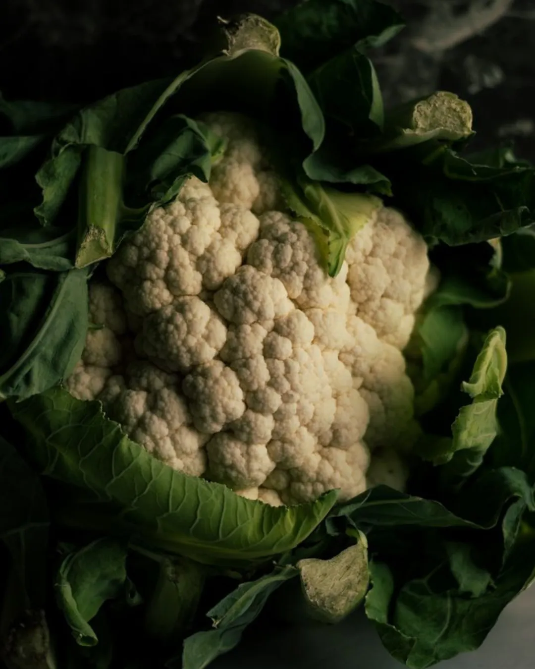 Todo sobre la mermelada (51)