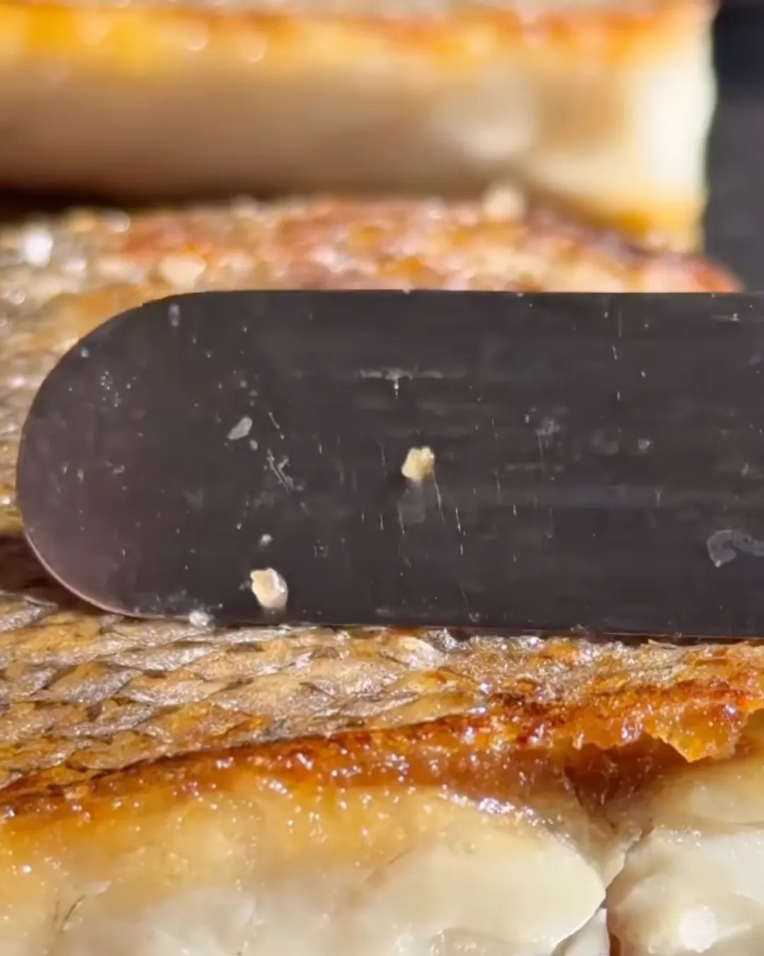 Agregar un título - 2025-12-10T145116.265