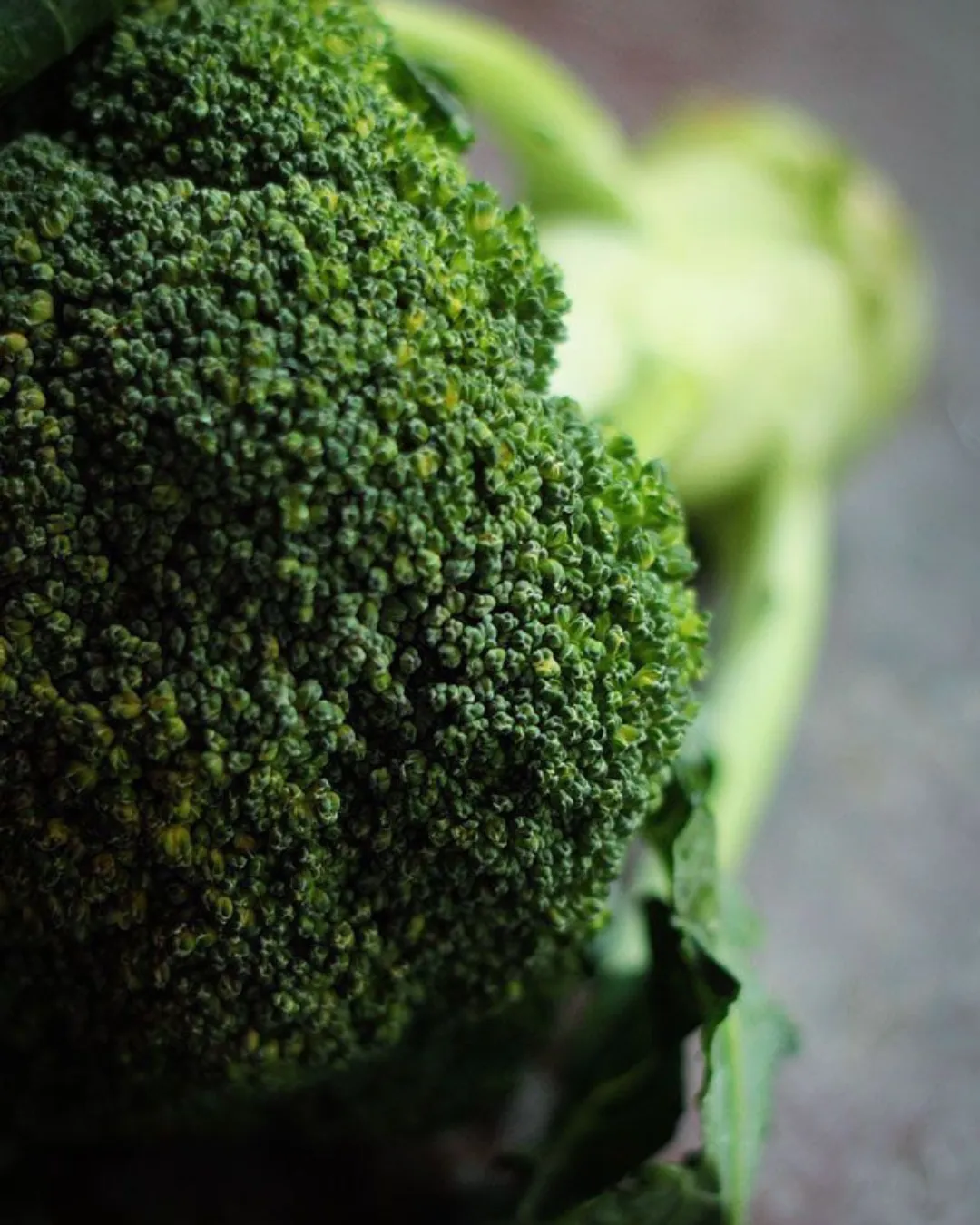 Todo sobre la mermelada (49)