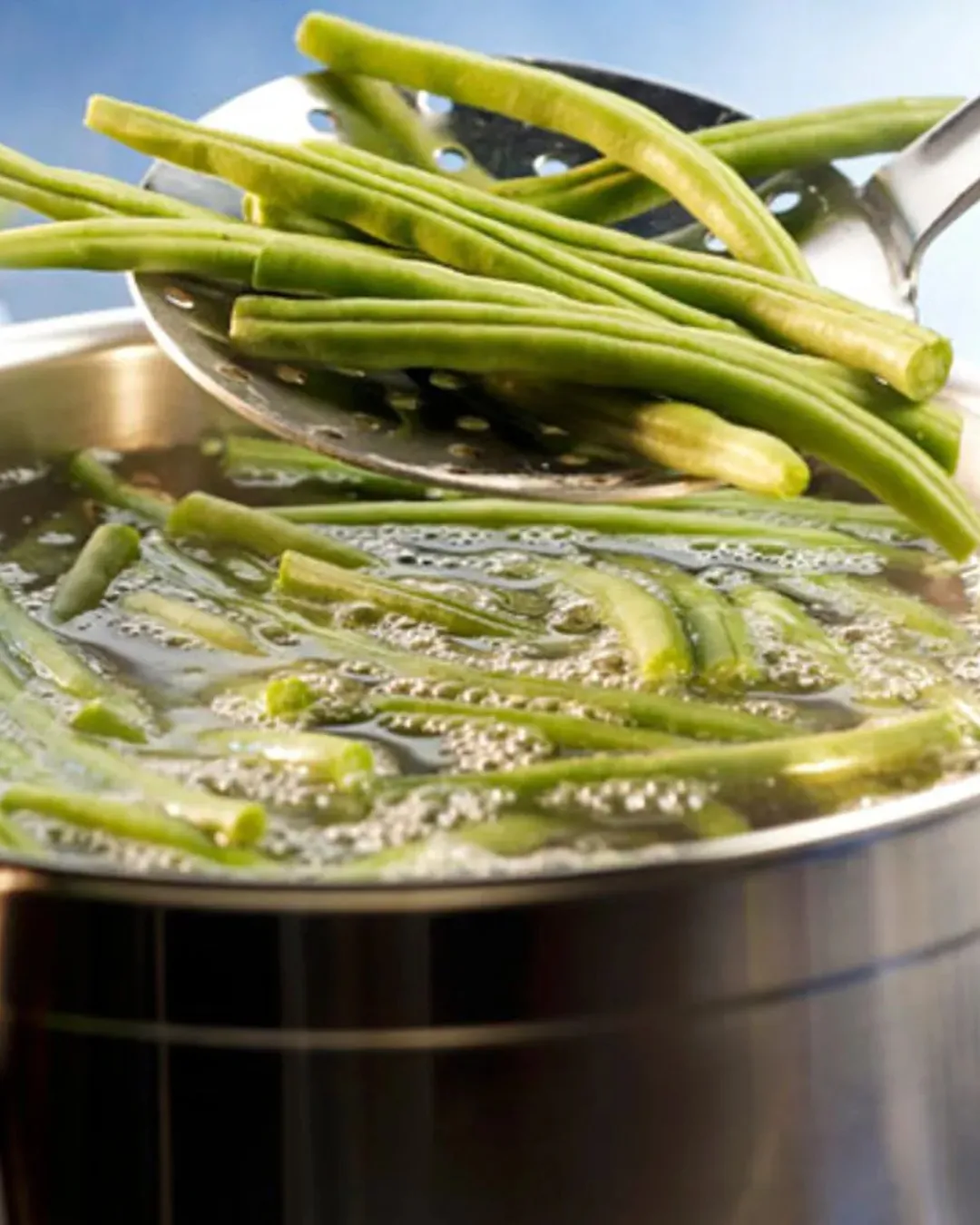 Agregar un título - 2025-12-10T144611.944