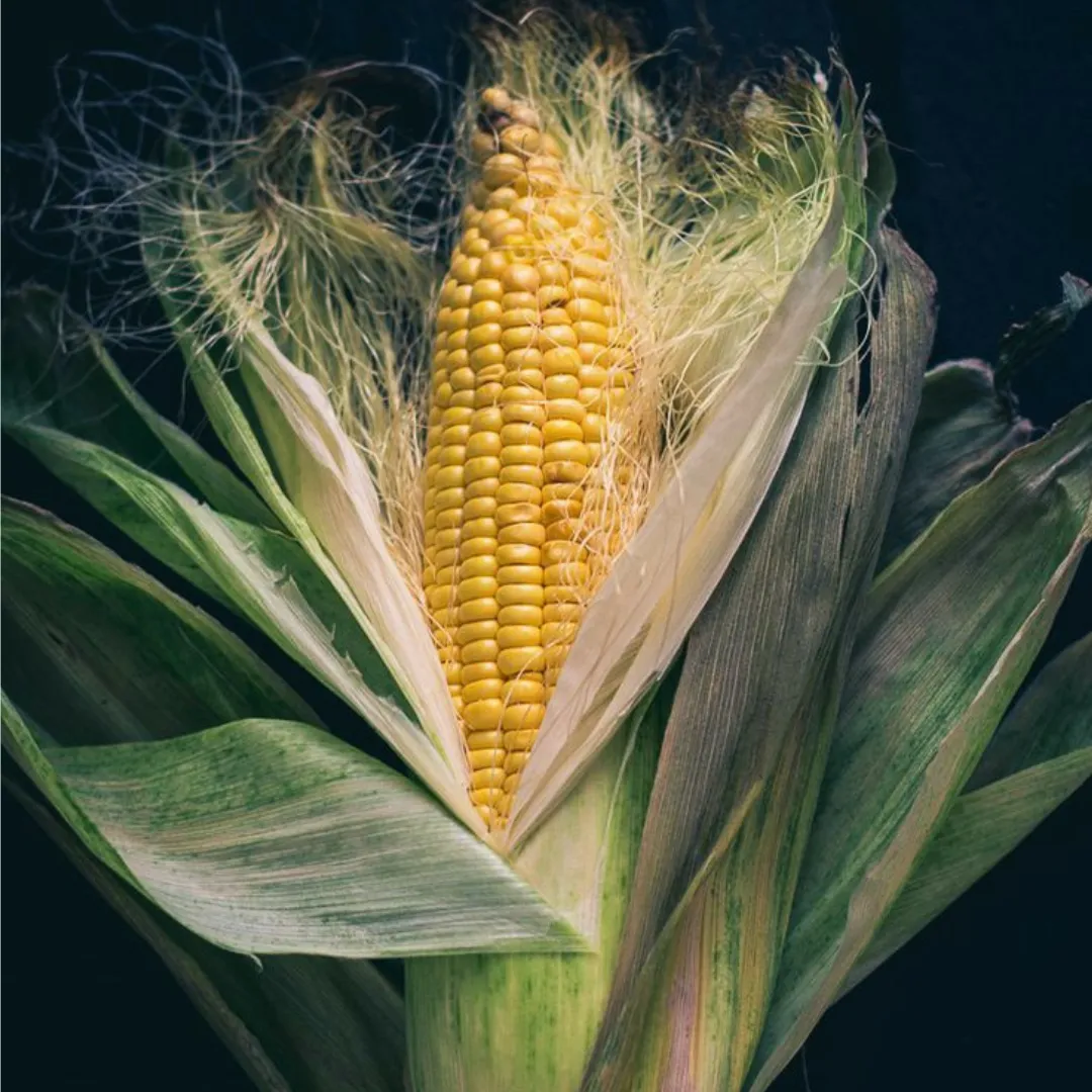 Manteca - 2024-04-05T181632.688