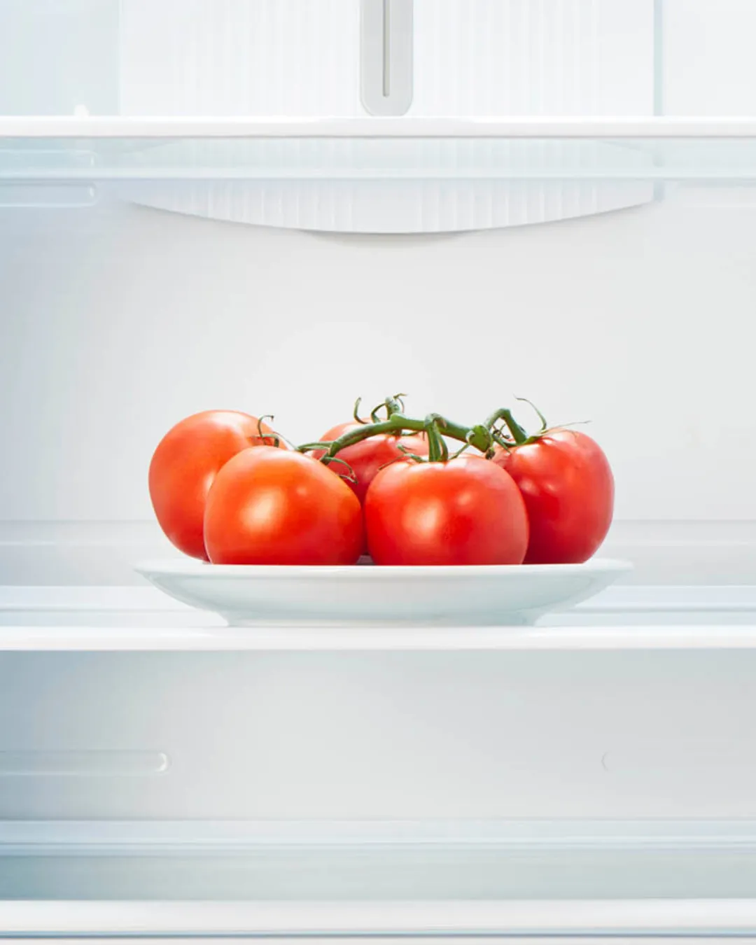 Agregar un título - 2025-12-10T145349.636