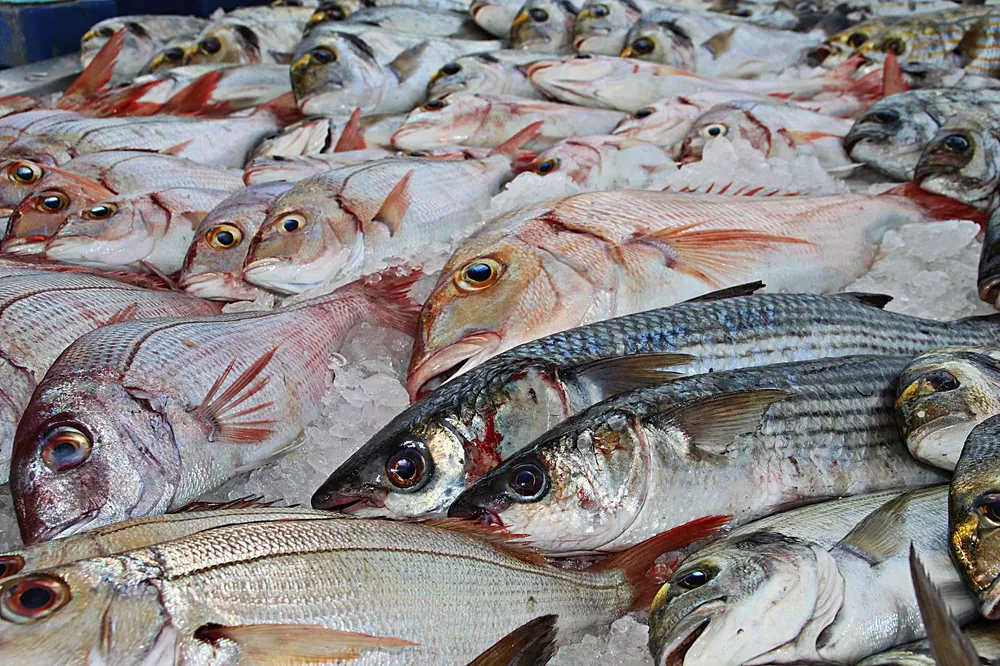 pescados