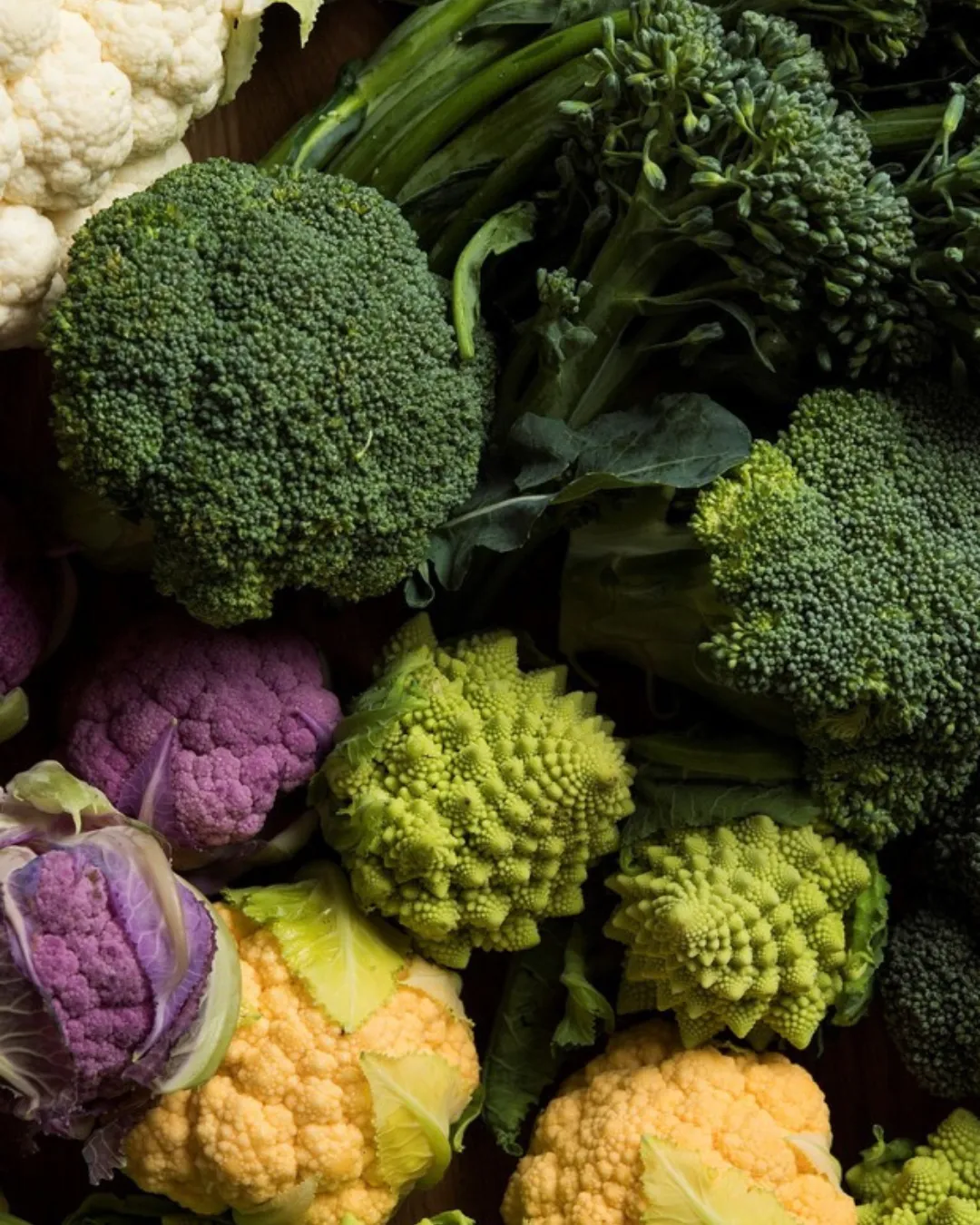 Todo sobre la mermelada (41)